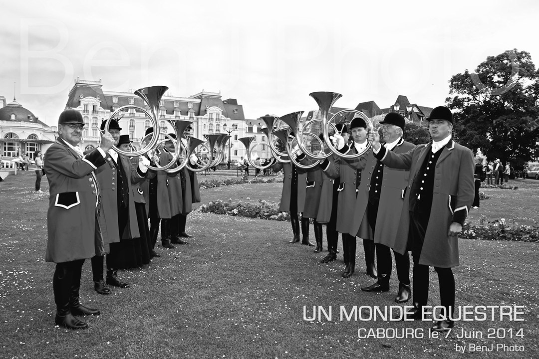 BenJPhoto-DSC_6433