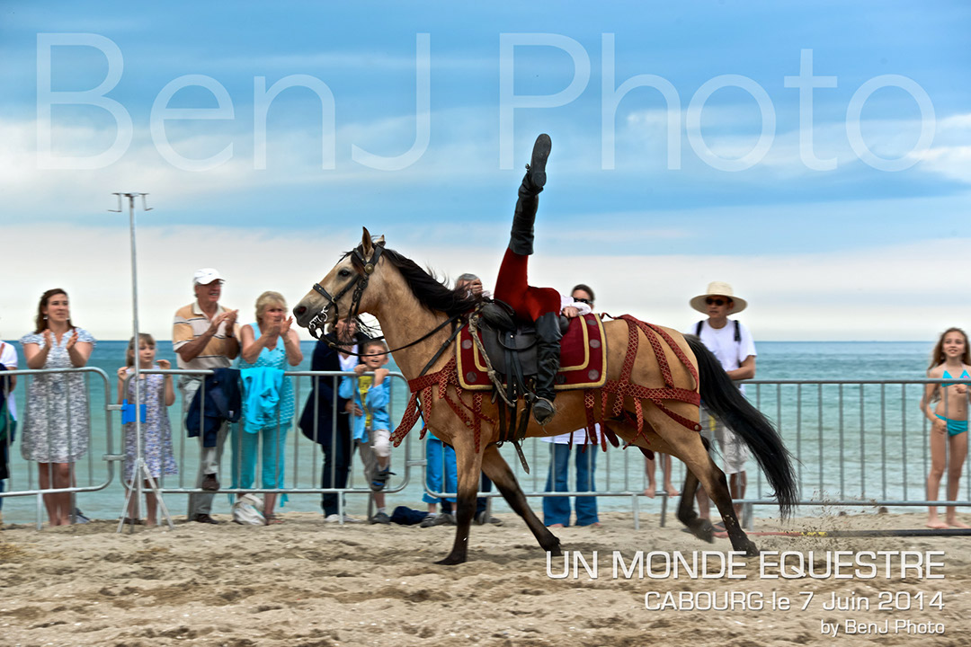 BenJPhoto-DSC_6748
