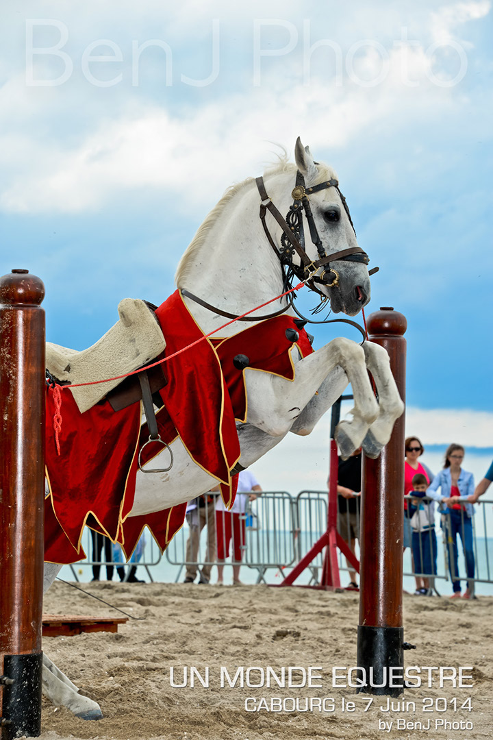 BenJPhoto-DSC_6627
