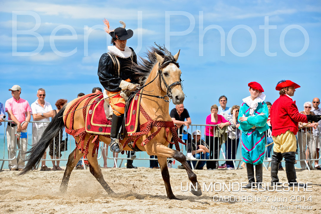 BenJPhoto-DSC_6654