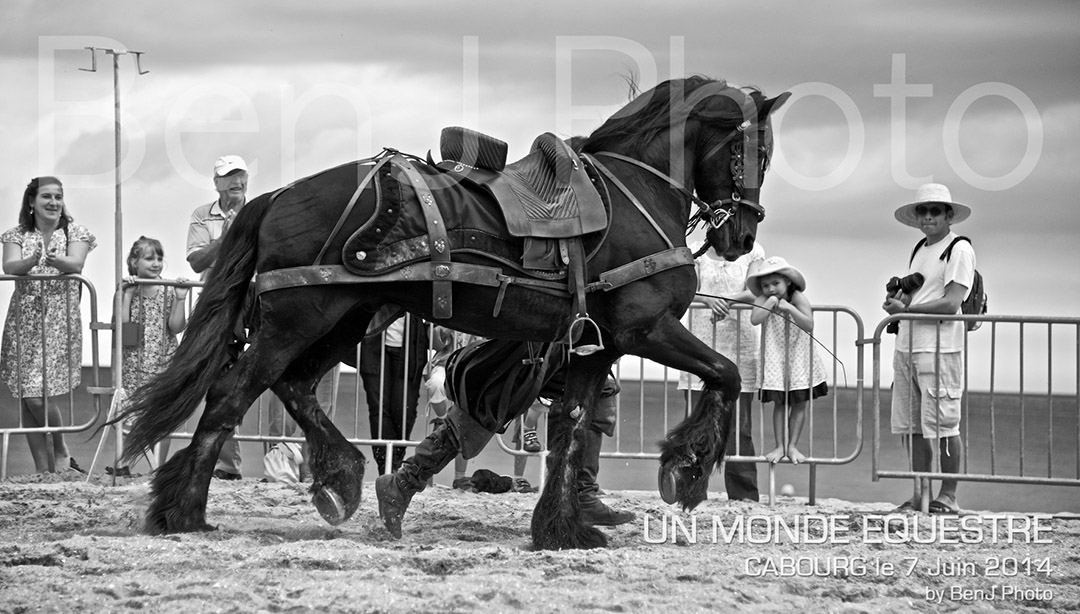BenJPhoto-DSC_6764