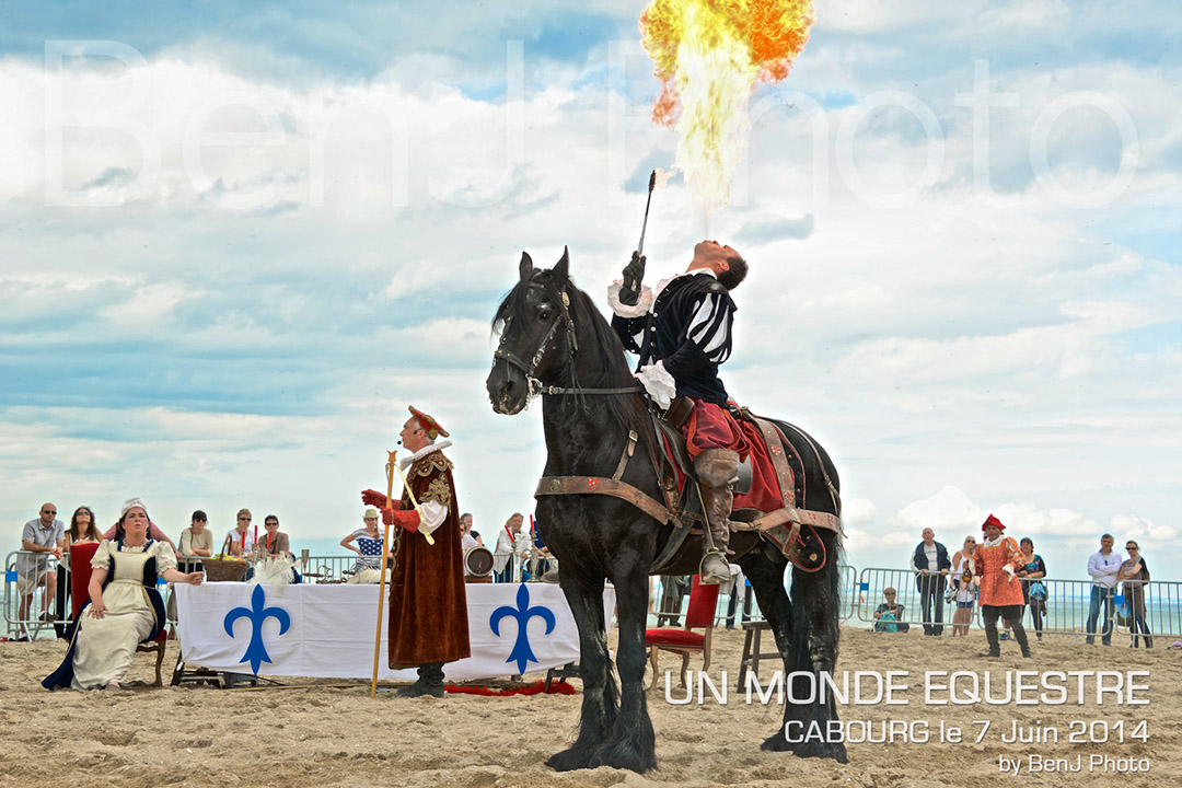 BenJPhoto-DSC_6768
