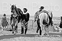 BenJPhoto-DSC_6621