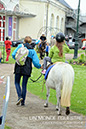 BenJPhoto-DSC_6451