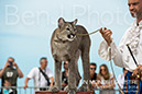 BenJPhoto-DSC_6524