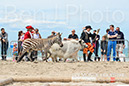 BenJPhoto-DSC_6500