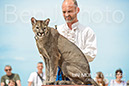 BenJPhoto-DSC_6534