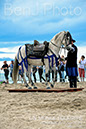 BenJPhoto-DSC_6636