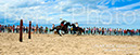 BenJPhoto-DSC_6600