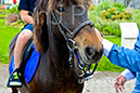 BenJPhoto-DSC_6443