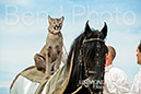 BenJPhoto-DSC_6529