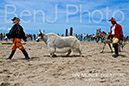 BenJPhoto-DSC_6498