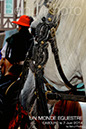 BenJPhoto-DSC_6409