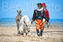 BenJPhoto-DSC_6496