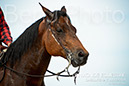 BenJPhoto-DSC_6558