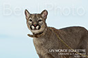 BenJPhoto-DSC_6525