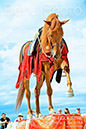 BenJPhoto-DSC_6677