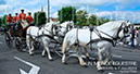 BenJPhoto-DSC_6384