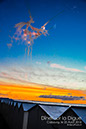 BenJPhoto-8323